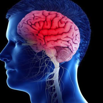 सफ़ेद तिल खाने के फायदे