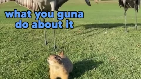 Dude ain't scared huh