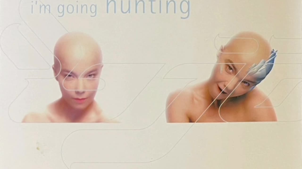Bjork _ Hunter #remastered [-7.5 RMS]