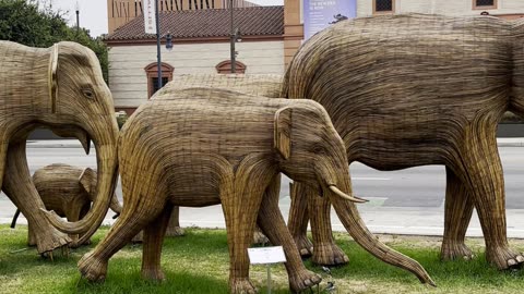 100 Life-Sized Elephants in Beverly Hills Park