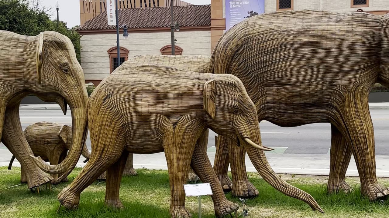 100 Life-Sized Elephants in Beverly Hills Park