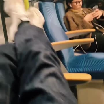 Fake Afghan asylum seeker secretly films German women, then posts it on