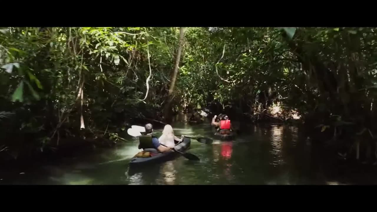 RIVER OF BLOOD Official Trailer