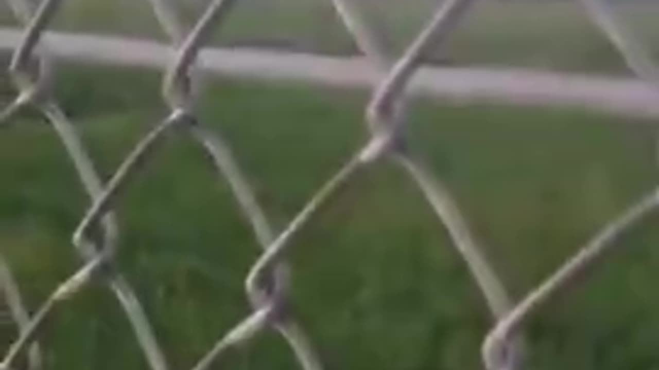 Maui: Missing school buses found? Whistleblower at Military installation at undisclosed location!