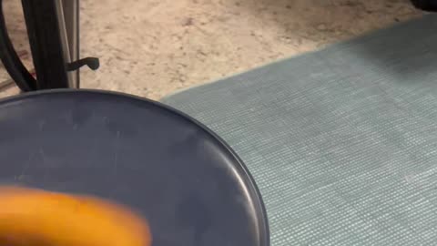 Spinning Corndog