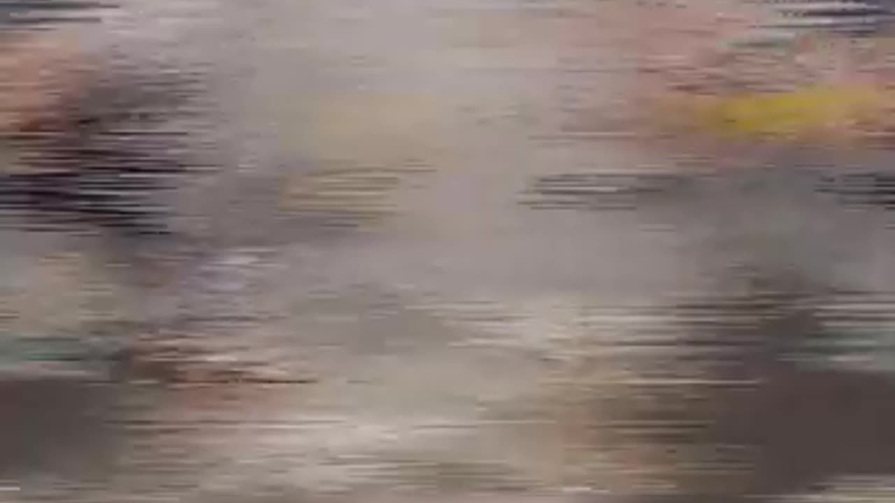 The Hammer You NEVER Knew Could Hurt You! But This One Did the Unthinkable!