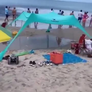 How bizarre? Fish washing up on shore?