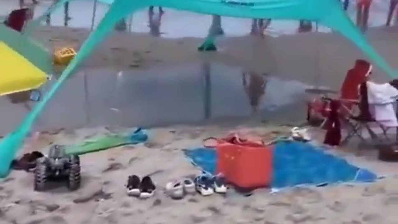How bizarre? Fish washing up on shore?