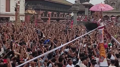 Saparu, Gai Jatra, Bhaktapur, 2082, Part II