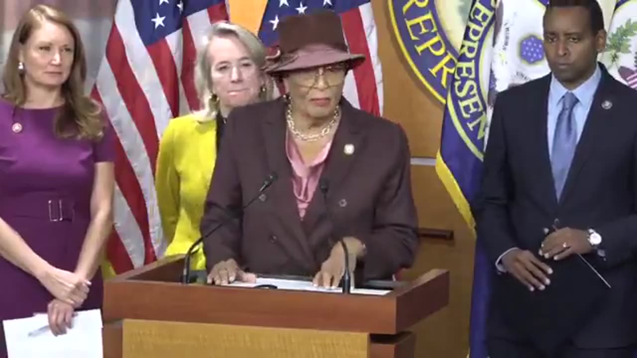 Rep. Alma Adams tries to blame Republicans for Democrats' shutdown.