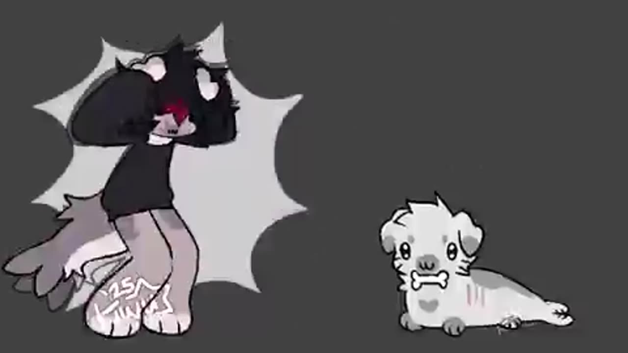 Kiwi Insanity