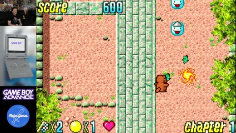 Game Boy Advance Roulette - Are you a real gamer?