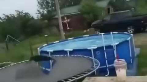 When you bought a trampoline on sale for $10 😁