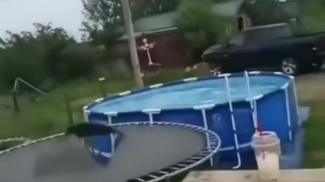 When you bought a trampoline on sale for $10 😁