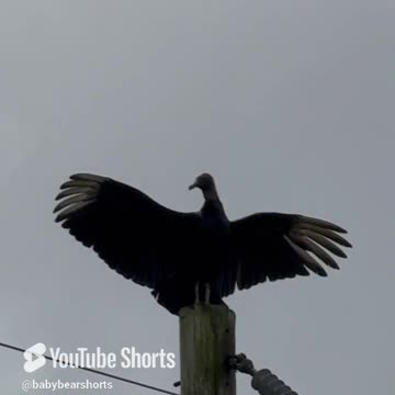 There is something going on here