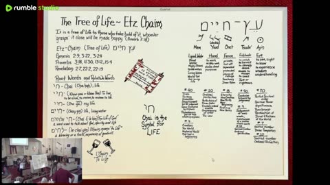 6/1/25 ~ Tree of Life