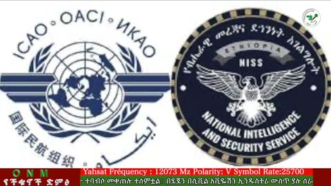 ነሐሴ 5-2025 ONM-ABO እለታዊ የኦሮሞ ነፃነት ሰራዊትና የኦሮሚያ ውሎ!