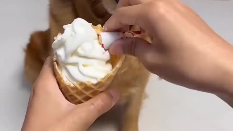 He's Not Stupid ❤️😂