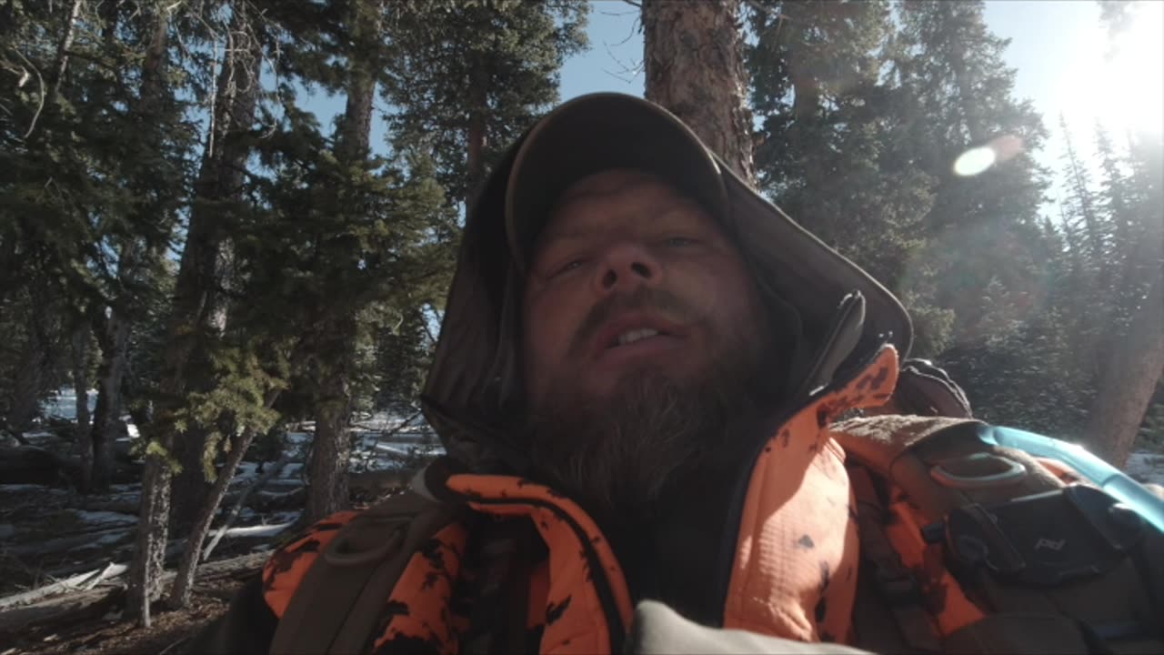 Elk Hunting Sucks