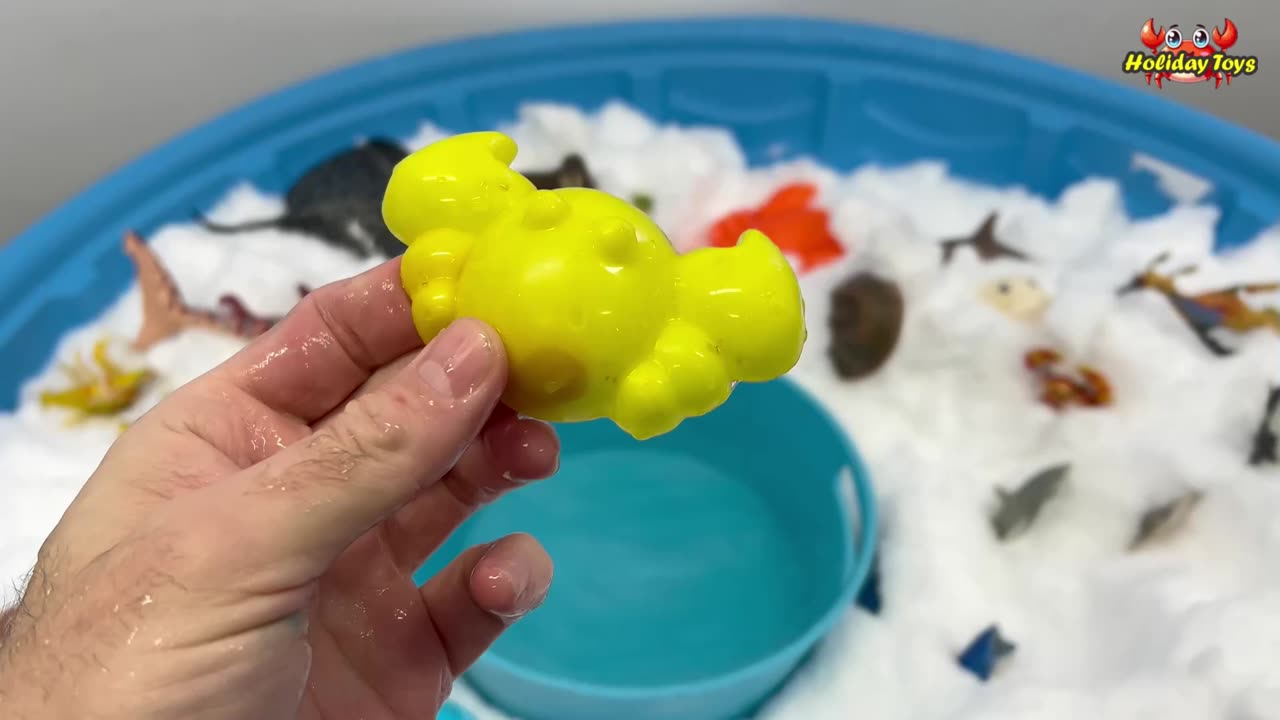 Green Eel Digs Soap Foam to Sleep in the Night