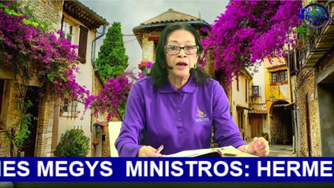REFLEXIONES MEGYS