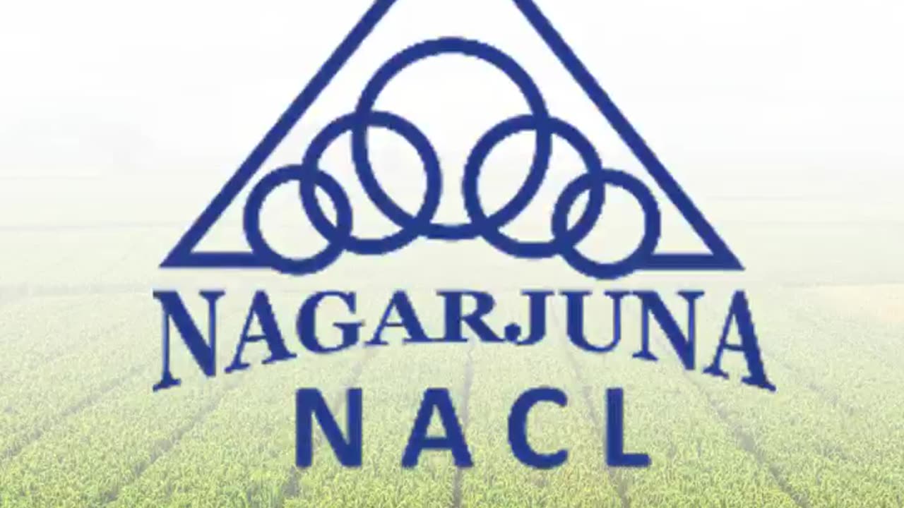 NACL Industries: A Trusted Name in Agricultural Chemicals