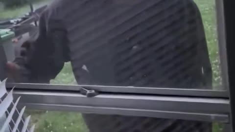 And they wonder why we don't like them!