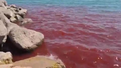 ⚠️Sea of GALILEE - TURNS BLOOD RED⚠️ - IT'S BIBLICAL📜 - Reloaded from VirtueNews