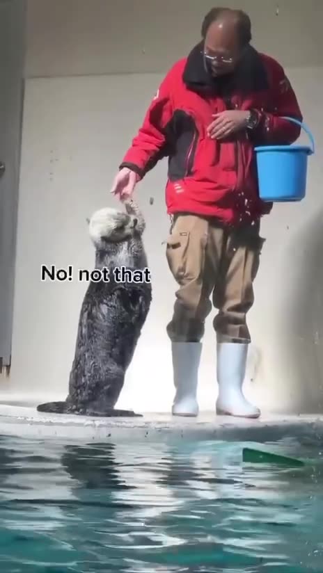 I beg he still no give