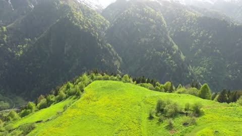 "Action is the key to all success."