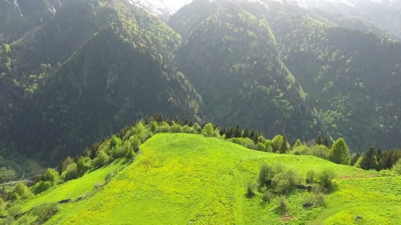 "Action is the key to all success."