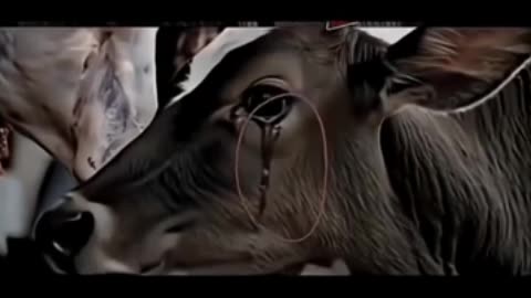 Feel the pain in his eyes😔😔