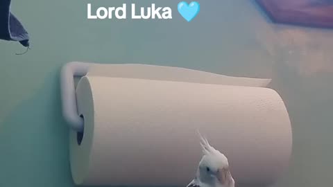 Lord Luka