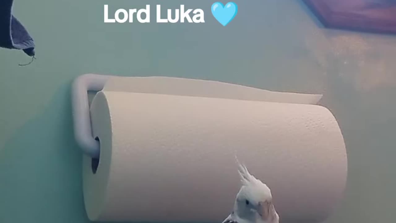 Lord Luka