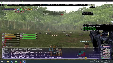 Playing Final Fantasy XI Online
