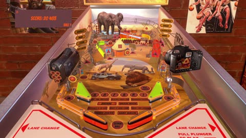Safari Flipperspel