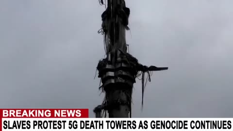 5G GENOCIDE - BEAST SYSTEM CONSOLIDATING IN TEXAS