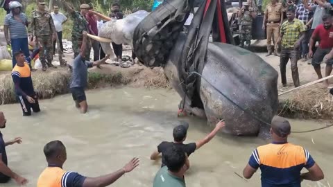 The turned tusker 😮😥