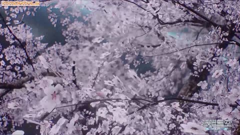 Swallowed Star Ep202