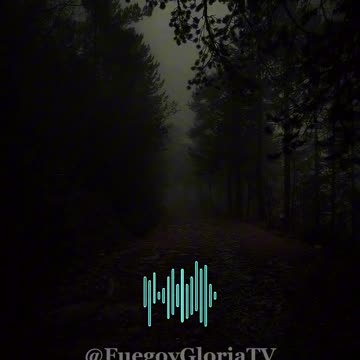 🌙 Oración de la Noche 🙏 | Duerme en paz bajo la protección de Dios ✨