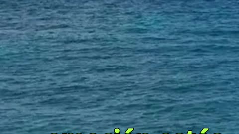 😊 216 “EL AMOR ABRE PUERTAS QUE LA LÓGICA NO ABRIRÍA” 1 Juan 4:18 😊