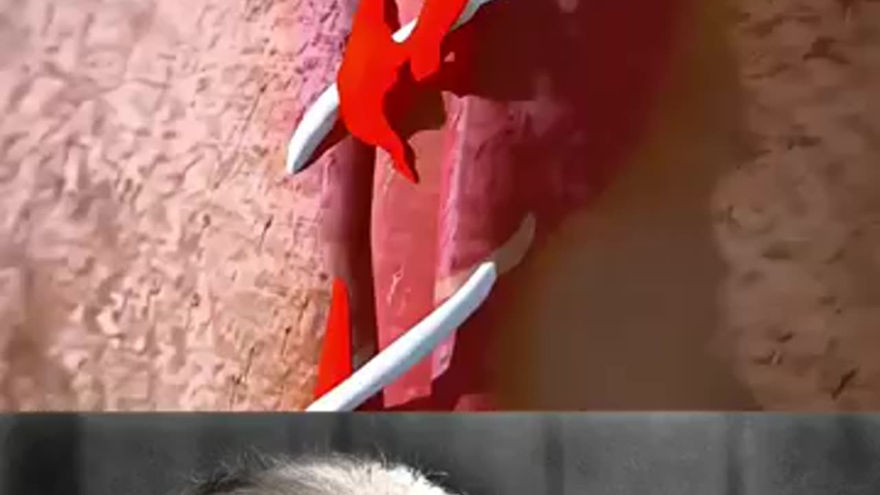 foot safety