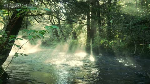 Kapaut imut || mp3_relaxing,chill&waasmusic