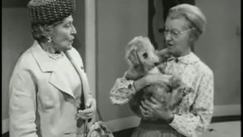 The Beverly Hillbillies (Elly Needs a Maw) Season 2, Episode 12