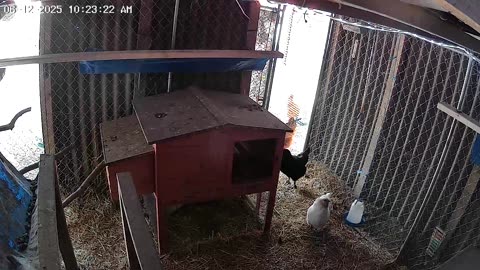 Queen Of The Hut!