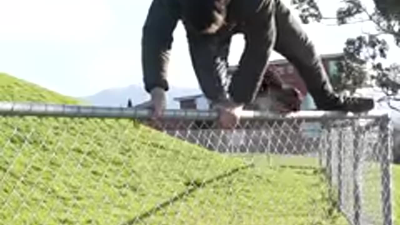 How animals get over a fence