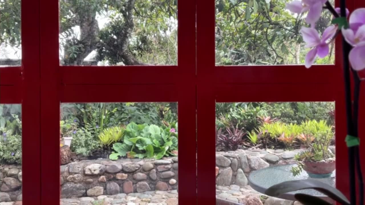 #balance Day 20 [30-Day Dance with 30-Seconds]