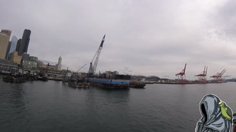 Seattle 34