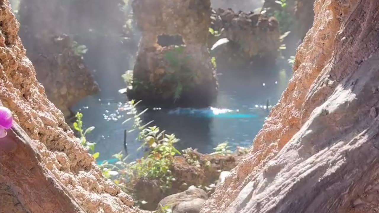 The most magical place in Thailand, Land of Angels, Chiang Mai.