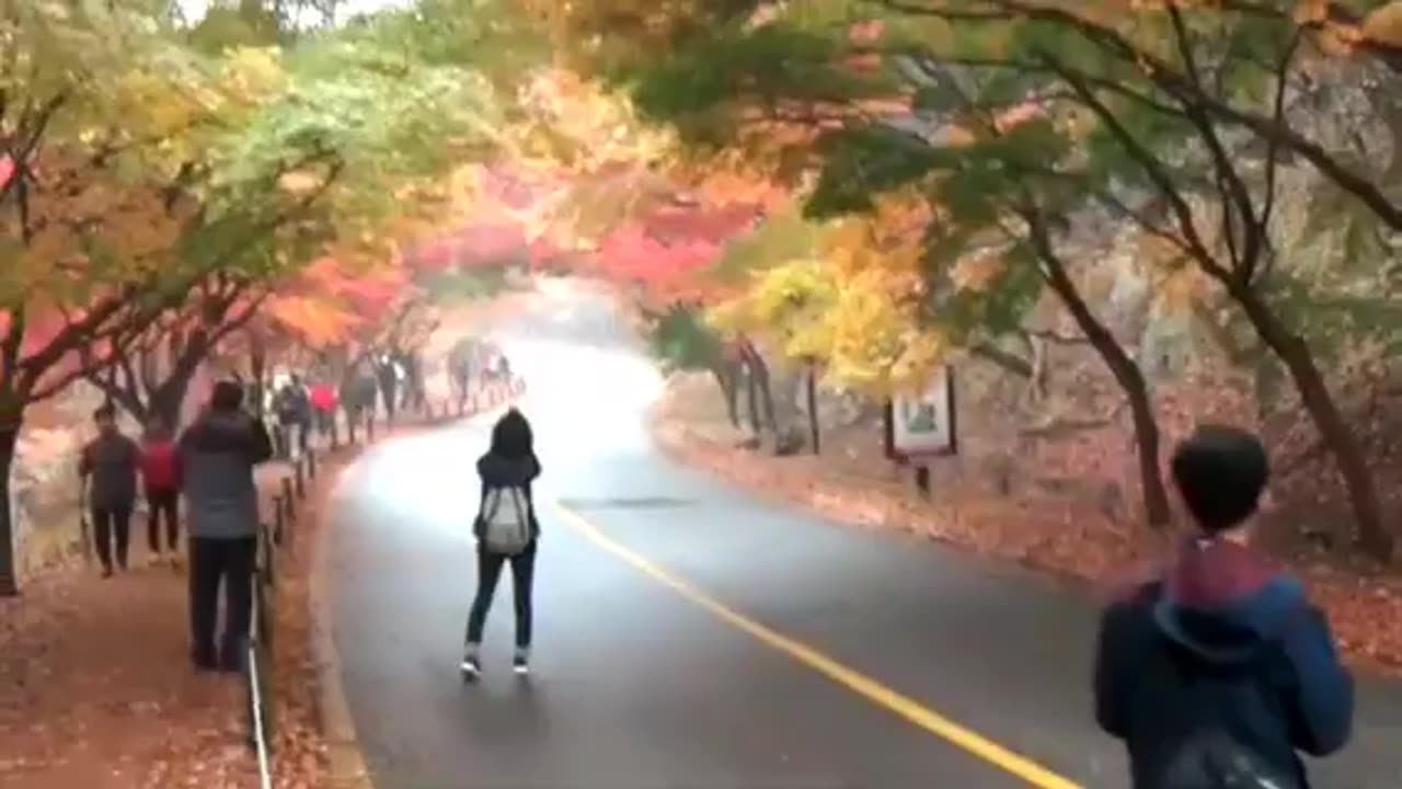 Sri lankan best culture